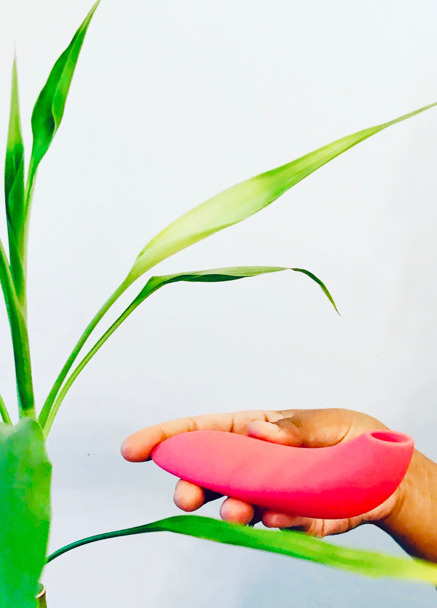 We-Vibe Melt being held next to a green plant