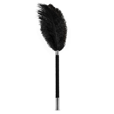 Black feather tickler on white background