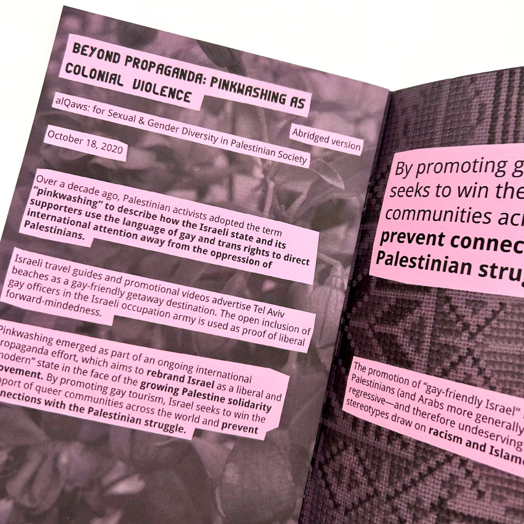 Queer Voices From the Fight for Palestinian Liberation