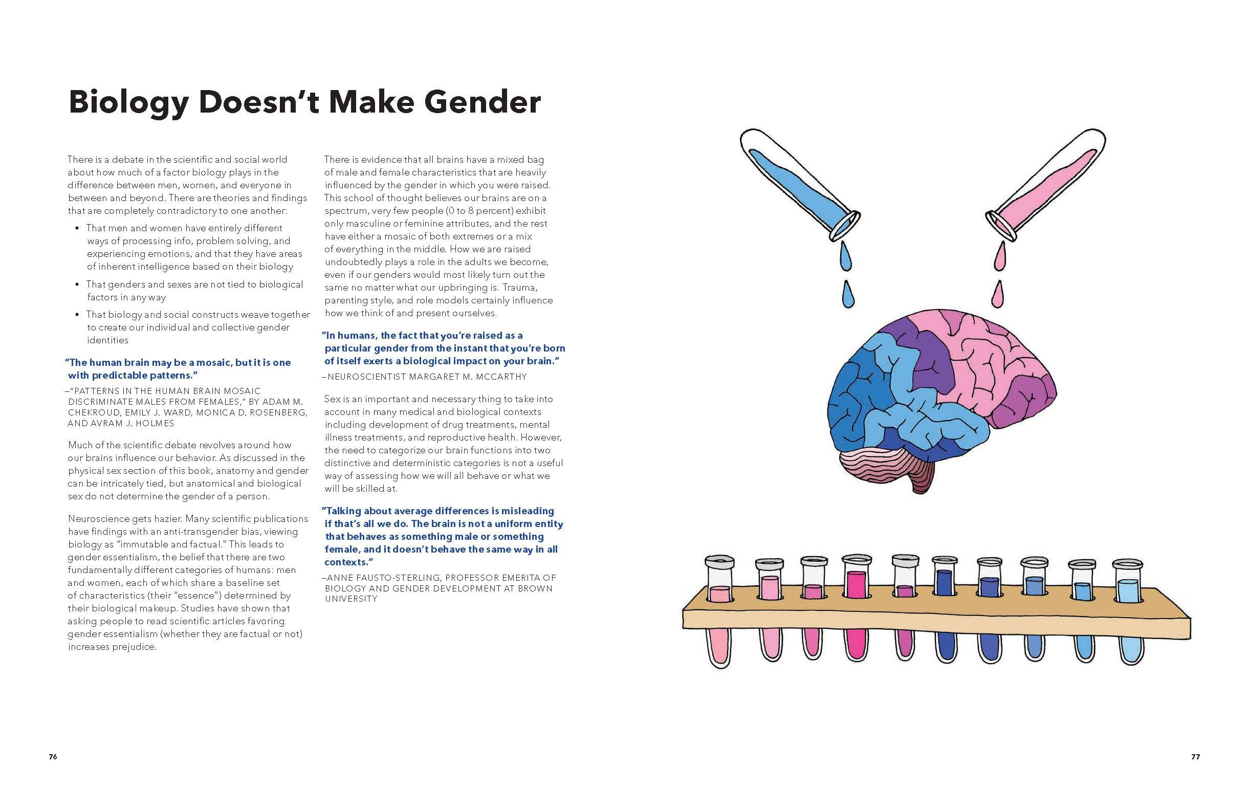 Seeing Gender