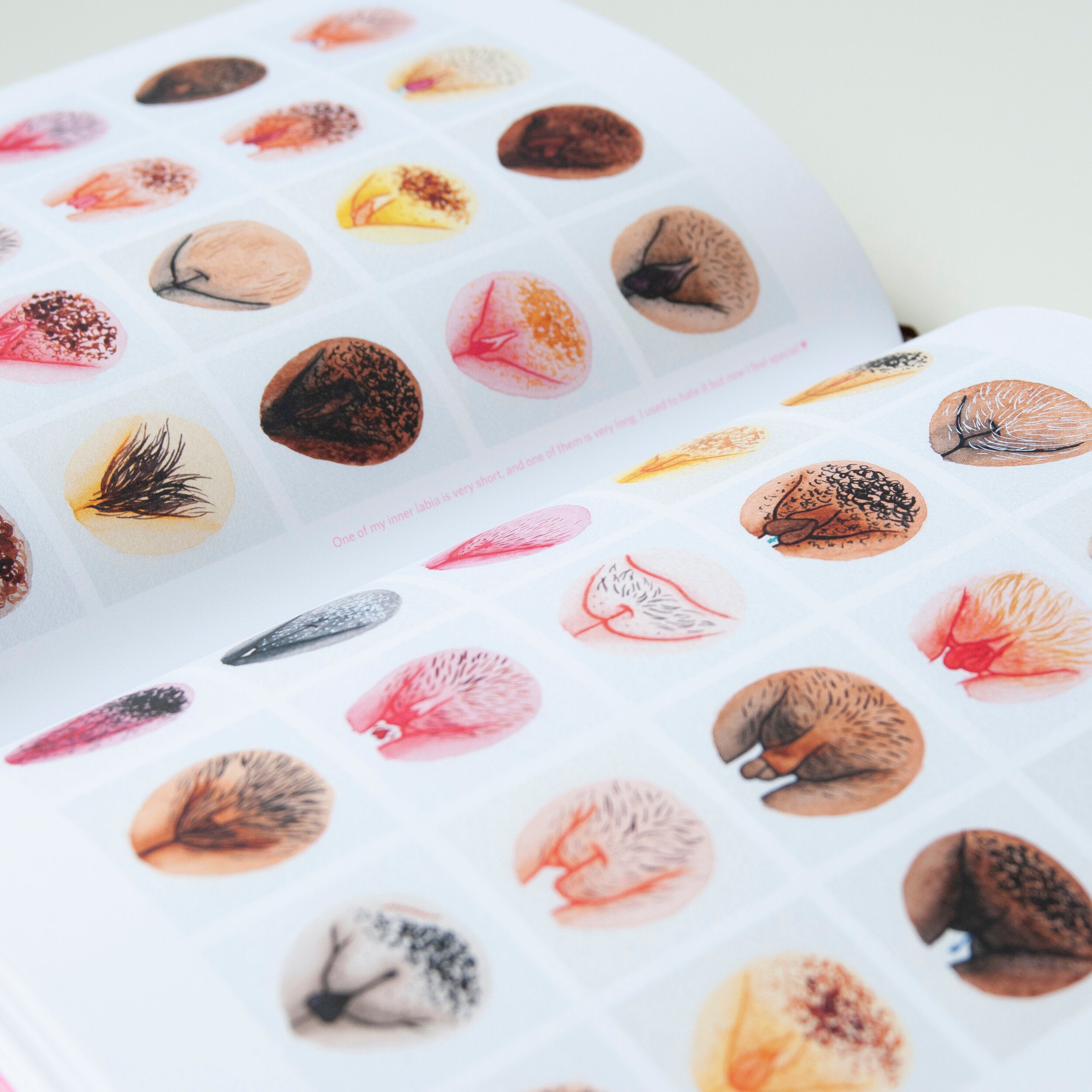 A Celebration of Vulva Diversity