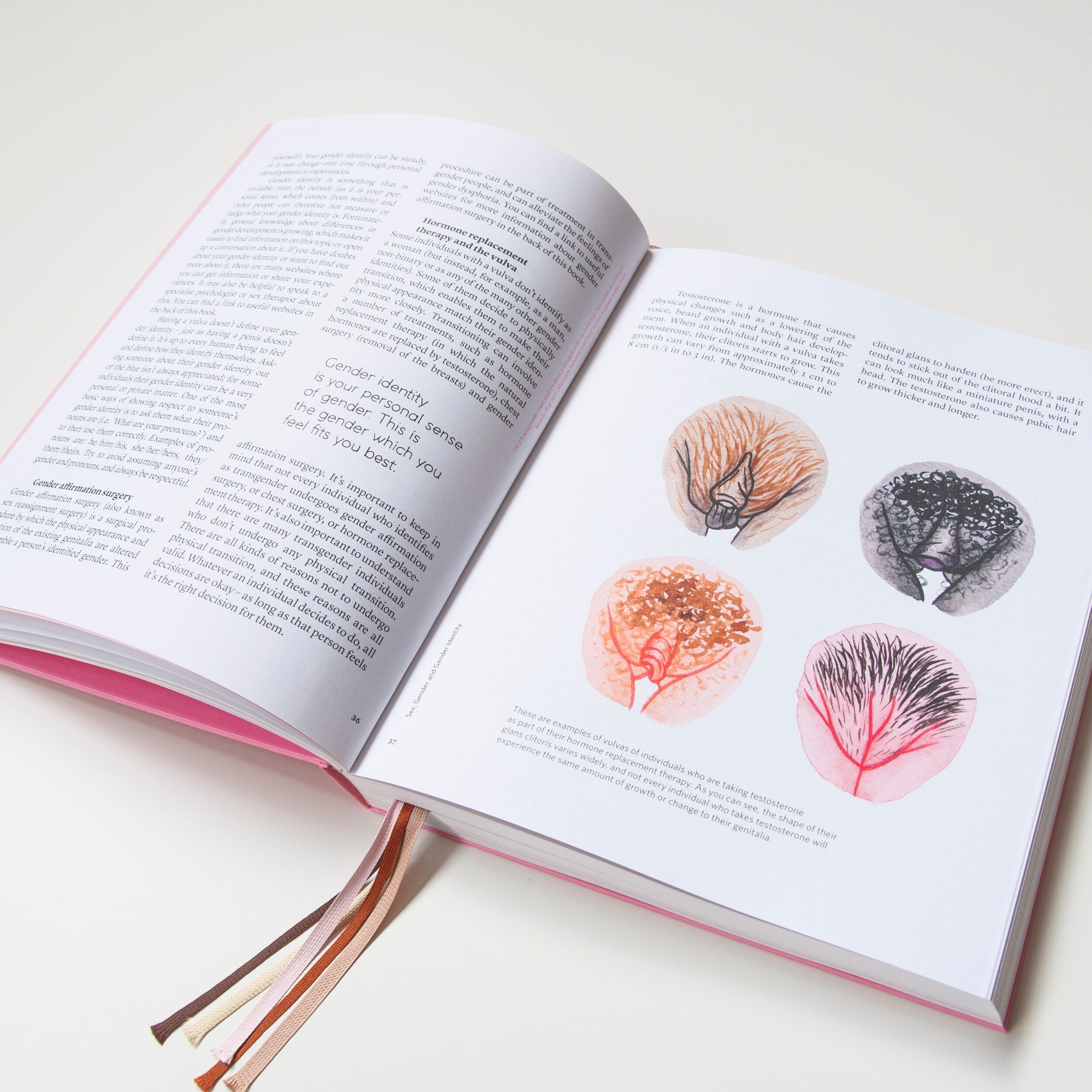 A Celebration of Vulva Diversity