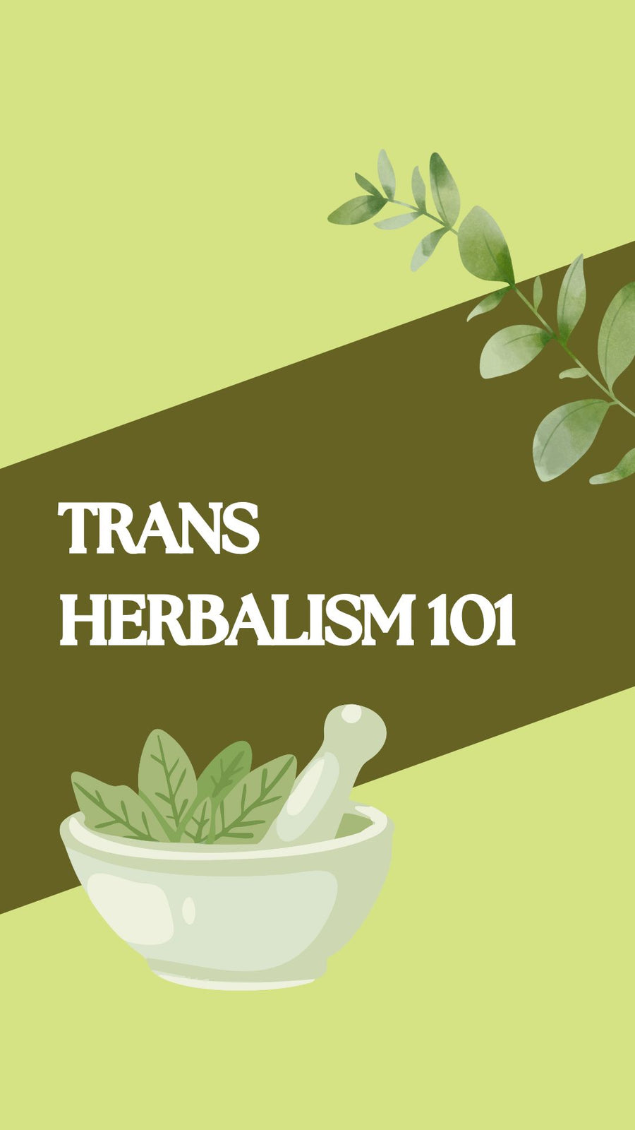 Trans Herbalism 101