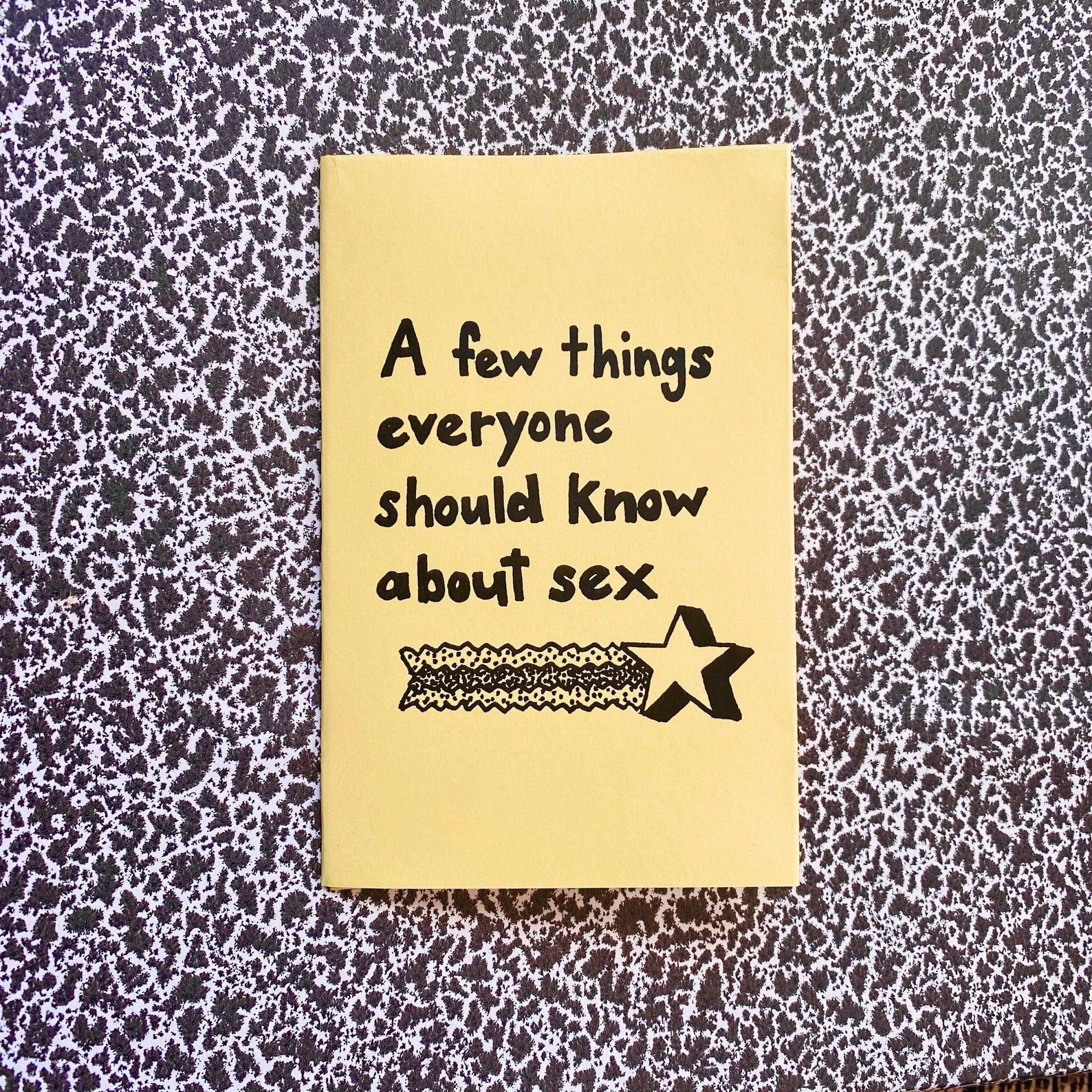 A Few Things Everyone Should Know About Sex Zine