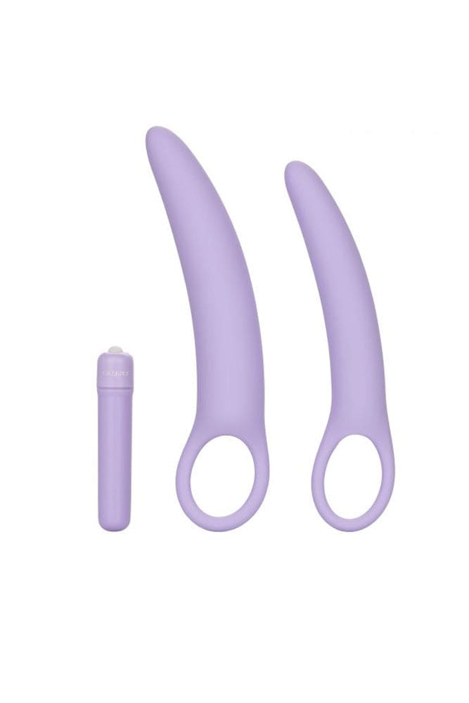 Vibrating Dilator Set