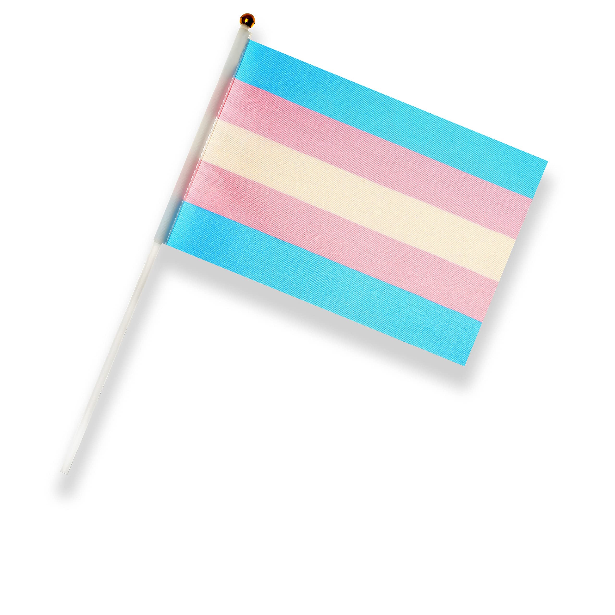Pride Flag - Transgender