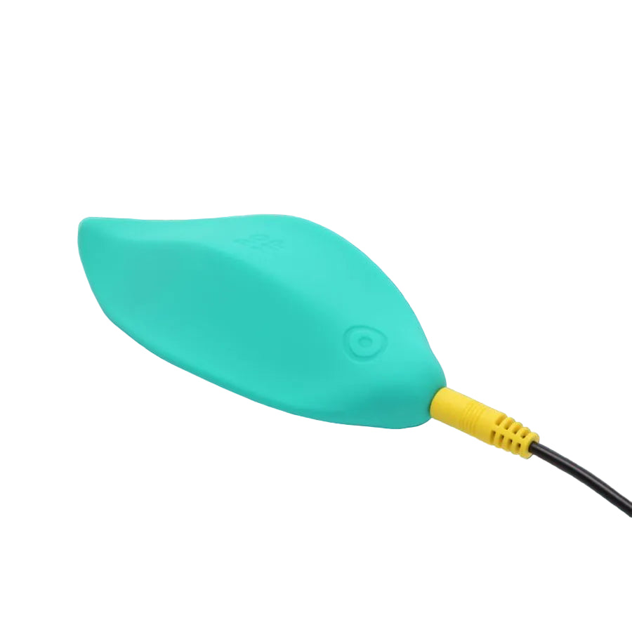 Romp wave plugged into its pin charger 