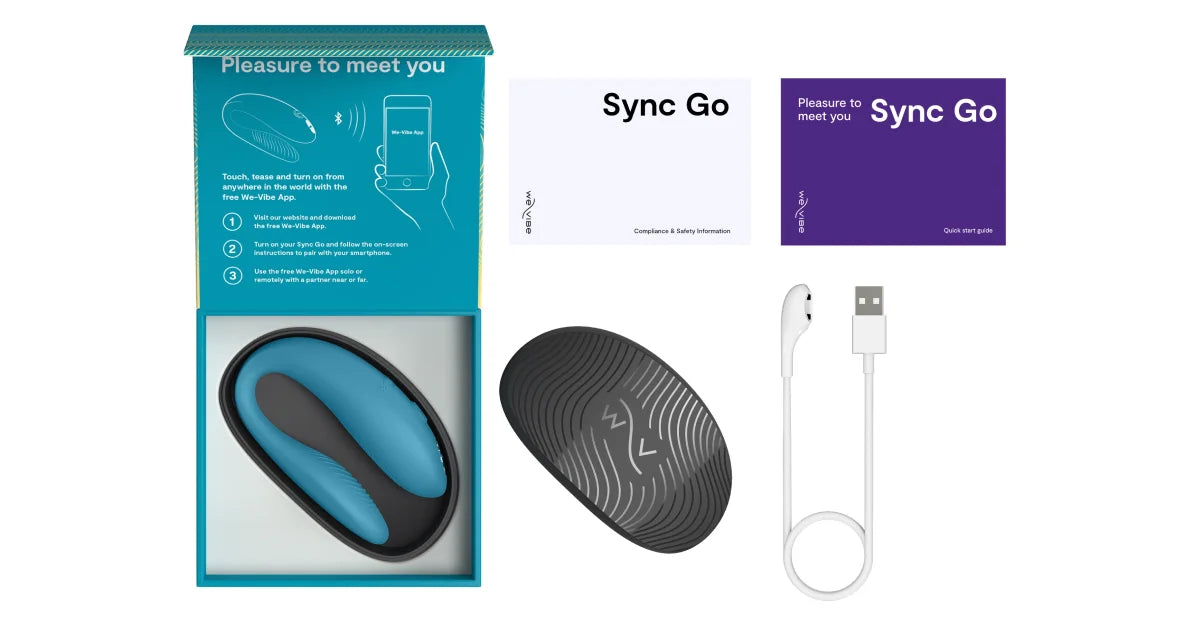 Pictured: all the things that come in the box with sync go. The toy, the travel case, the USB charger, a Quick Start Guide, Compliance and safety information. 