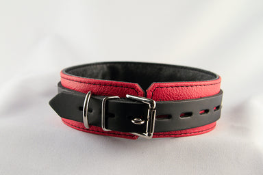 Red and black collar back view