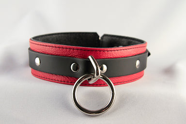 Red and black collar with silver hardware