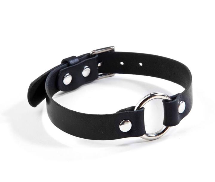Black collar with silver o-ring on white background